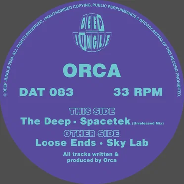 Loose Ends / Sky Lab / The Deep / SpaceTek (unreleased mix)