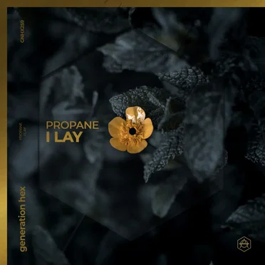 I Lay by Propane - album cover