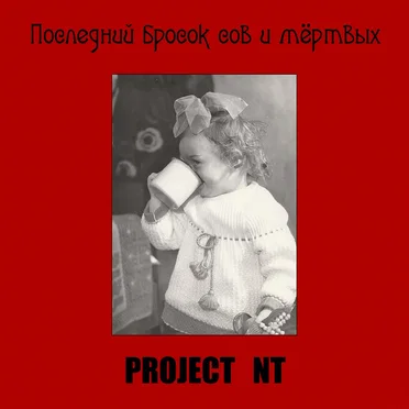 Последний бросок сов и мёртвых