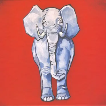 Custom Elephant Singles Box