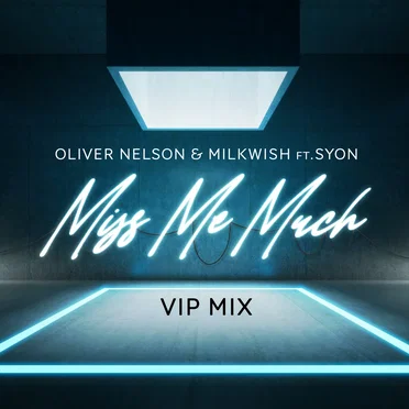 Miss Me Much (VIP mix)
