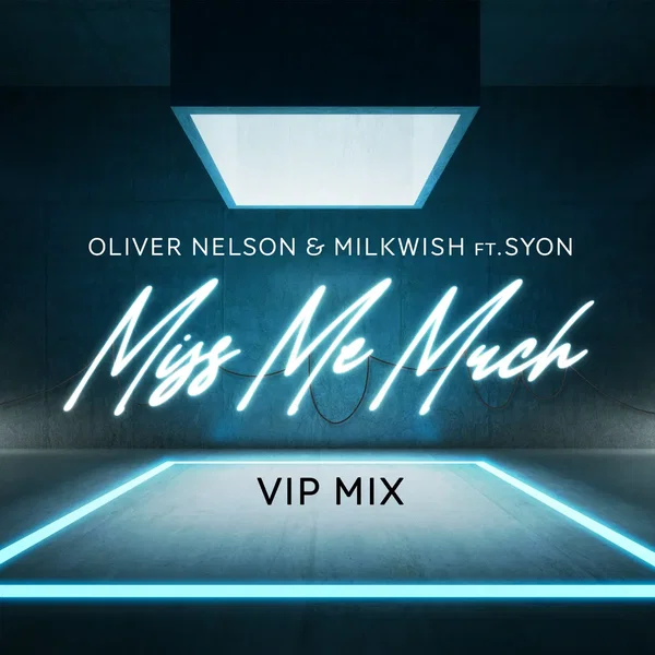 Miss Me Much (VIP mix)