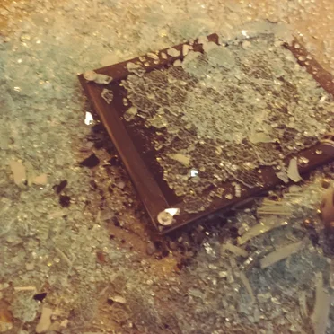 Suspension (Massive Swarms of Jellyfish)