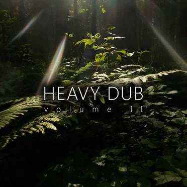 Heavy Dub Vol. 2 by Various Artists - album cover