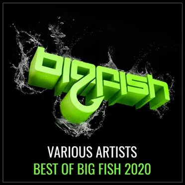 Best of Big Fish 2020 by Various Artists - album cover