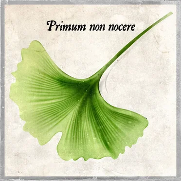 Primum non nocere by Djo Ginkgo - album cover