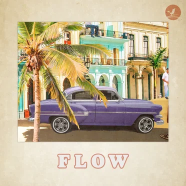 Flow