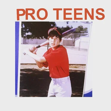 Pro Teens by Pro Teens - album cover