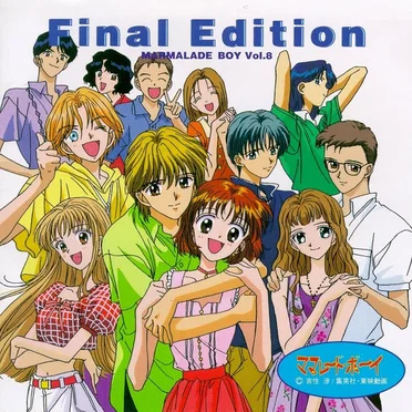 ママレード・ボーイ Vol.8 Final Edition 〜総集編だよっ!!〜 by Various Artists - album cover