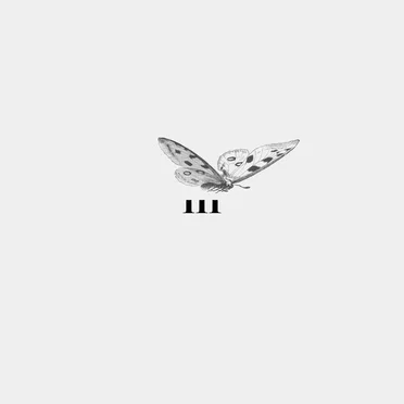BFS III by Thi Fisher - album cover