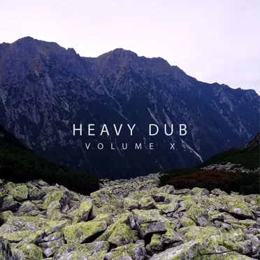 Heavy Dub, Vol. 10 by Various Artists - album cover