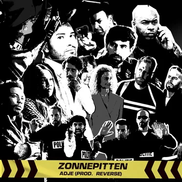 Zonnepitten