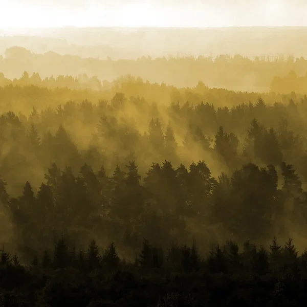 Off the Beaten Track