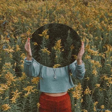 The Fields Opera