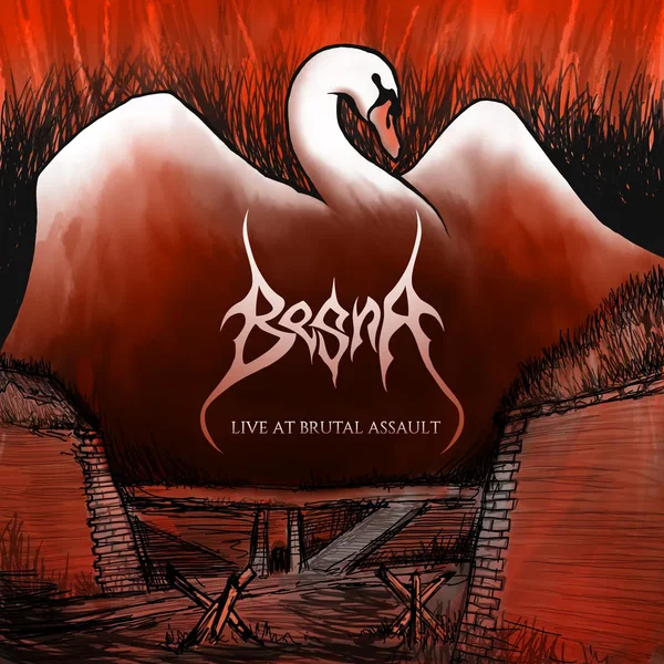 Live at Brutal Assault