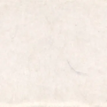 Ole Bull: A Norwegian Pioneer