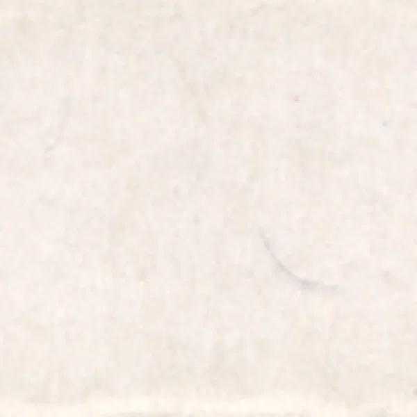 Ole Bull: A Norwegian Pioneer