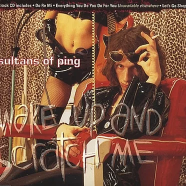 Wake Up and Scratch Me by Sultans of Ping F.C. - album cover