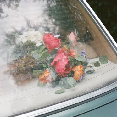 Assorted Love Songs