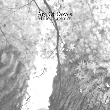 Mille Plateaux by Arc of Doves - album cover