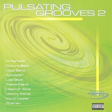 Pulsating Grooves, Vol. 2 by Various Artists - album cover