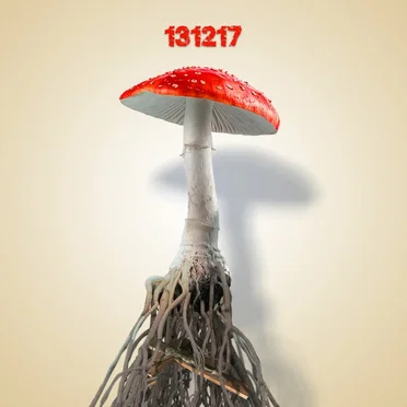131217 by SEX SHOP MUSHROOMS - album cover