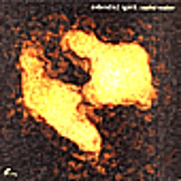 Solid Water EP