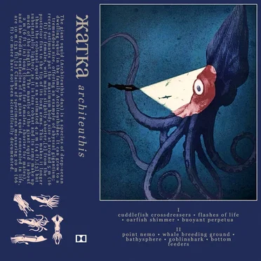architeuthis