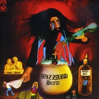 Wizzard artist image