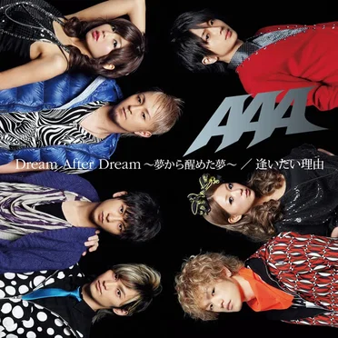 Dream After Dream ～夢から醒めた夢～ / 逢いたい理由