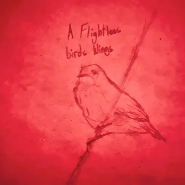A Flightless Bird's Wings by Jonah Hacker - album cover