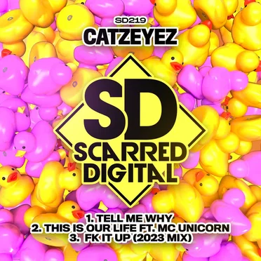 Tell Me Why by Catzeyez - album cover
