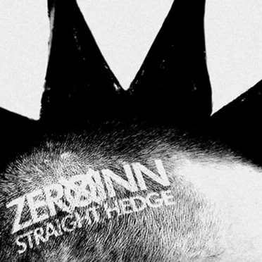 Straight Hedge by Zero Inn - album cover