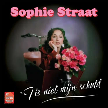 'T Is Niet Mijn Schuld