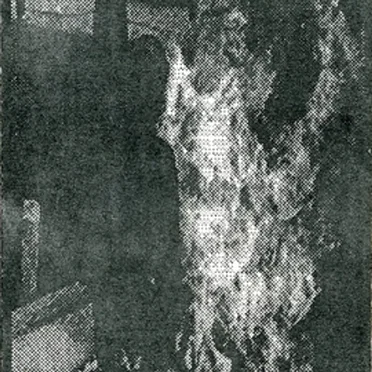 Elektro-Immolation by Various Artists - album cover