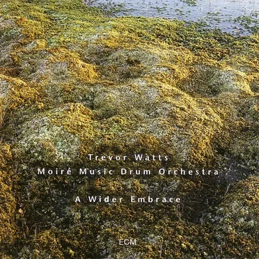 Trevor Watts Moiré Music Drum Orchestra