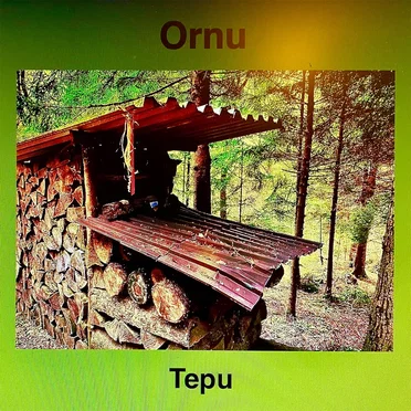 Tepu