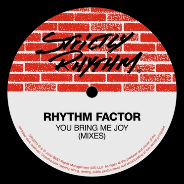You Bring Me Joy by Rhythm Factor - album cover