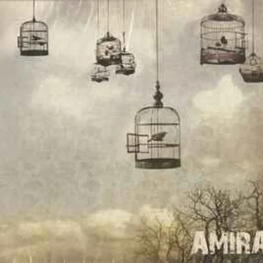 Amira LIVE