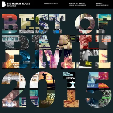 Best of Big Mamas House Records 2015 by Various Artists - album cover