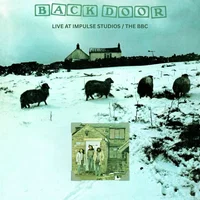 Back Door artist image