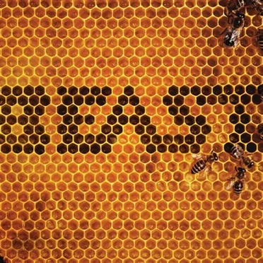 Beast by Beast - album cover