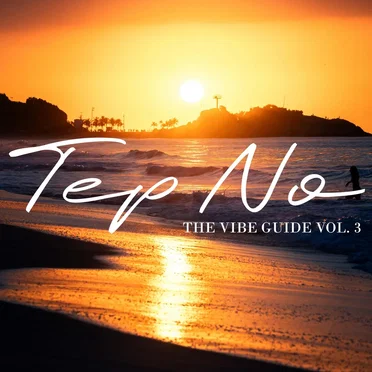 The Vibe Guide, Vol. 3