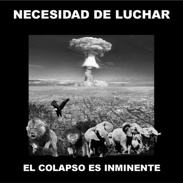 El Colapso Es Inminente by Necesidad De Luchar - album cover