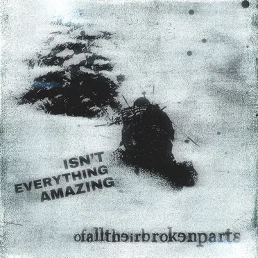 Isn't Everything Amazing! by ofalltheirbrokenparts - album cover