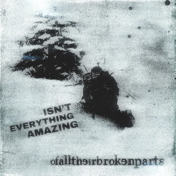 Isn't Everything Amazing!