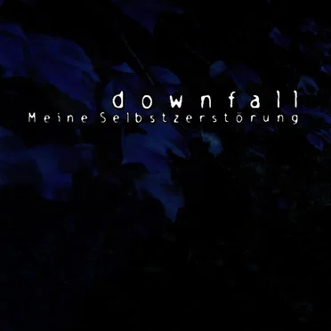 Meine Selbstzerstörung by Downfall - album cover
