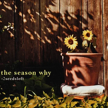 The Season Why