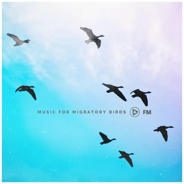 Music for Migratory Birds by Various Artists - album cover