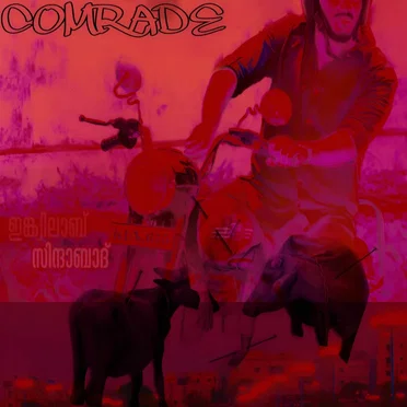 comrade